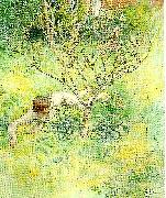Carl Larsson, naken flicka under prunusbusken